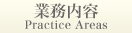 業務内容